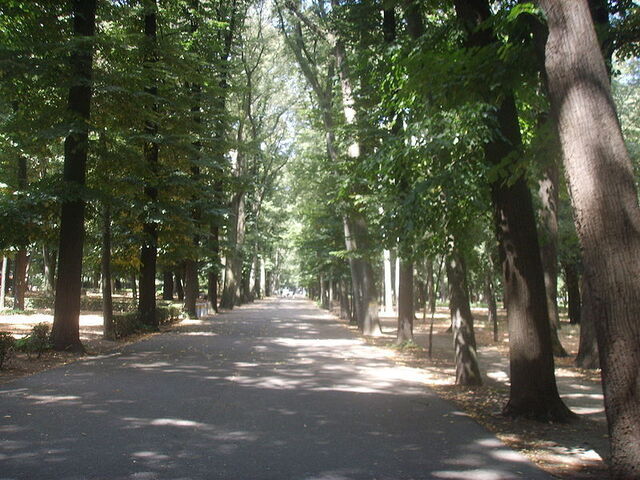 Een pad in in Parco delle Cascine