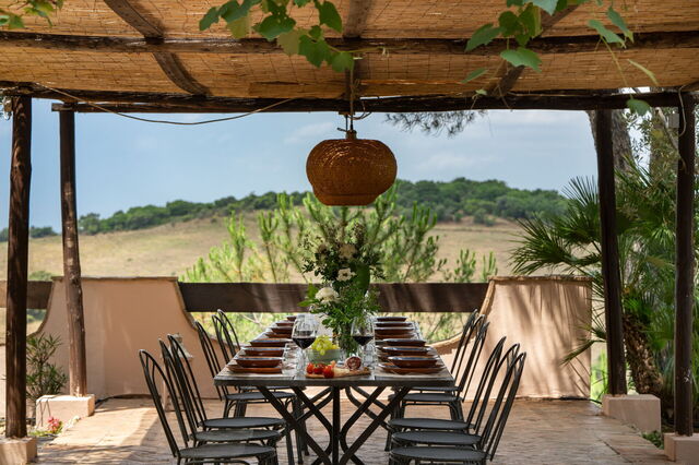 Terras