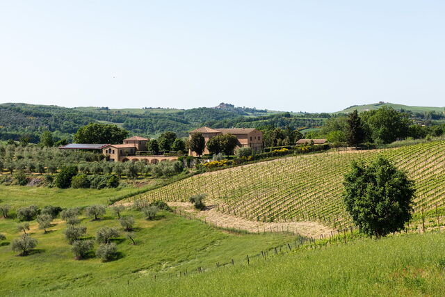 Podere D'asso