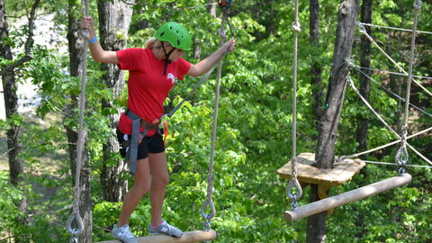 Tussen de bomen door