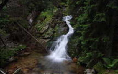 een bron die ontspringt in de bergen