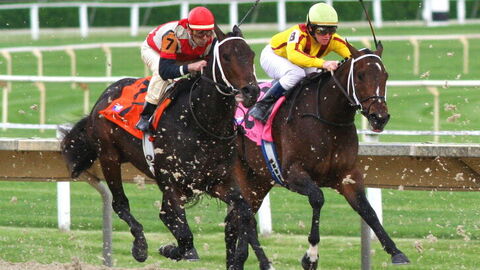 paardenraces toscane