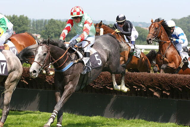 paardenrace