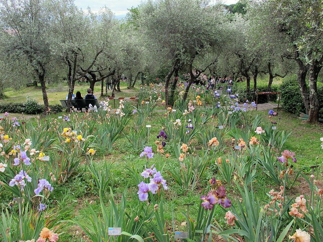 Park van de Iristuin