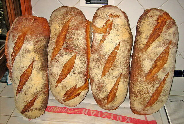 Ongezouten Toscaans brood