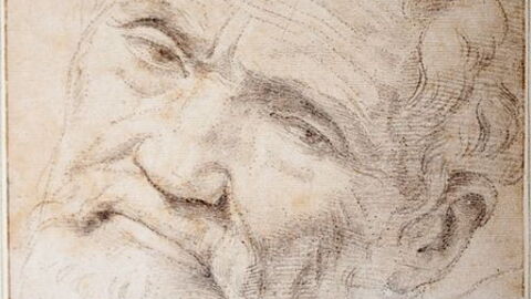 Michelangelo tekening