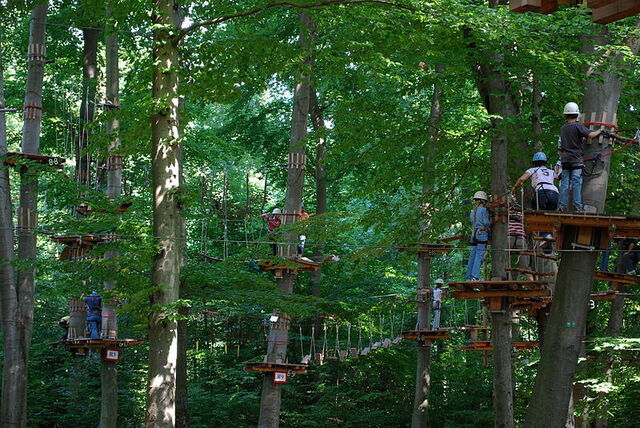 Hoog touwenparcours