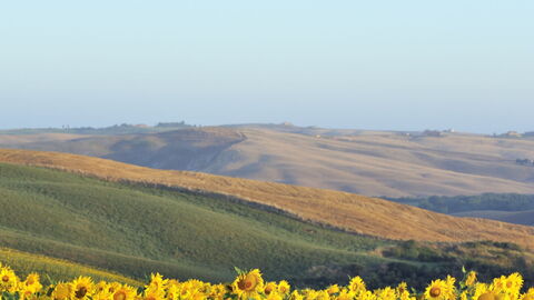 Romantische Ballonvaart