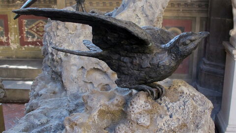 Giambologna's vogels