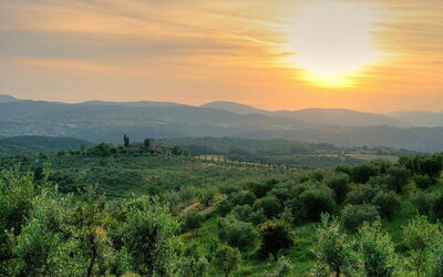 Reggello, platteland