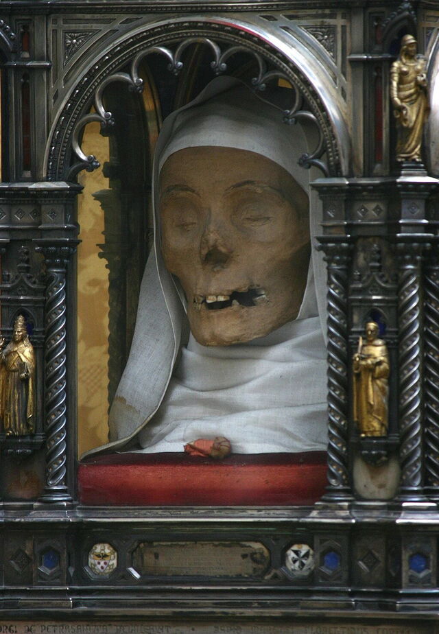 Het Hoofd van Saint Catherine
