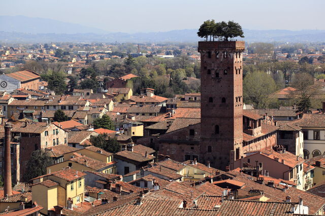 Zicht op Torre Guinigi