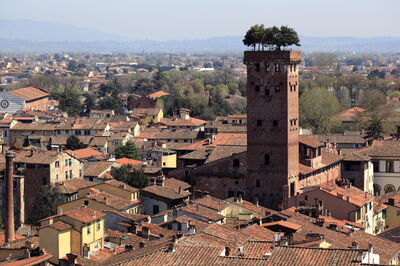 Zicht op Torre Guinigi