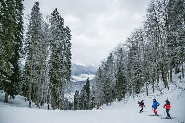 Skiën