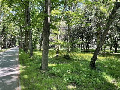 Parco Pineta di Ponente