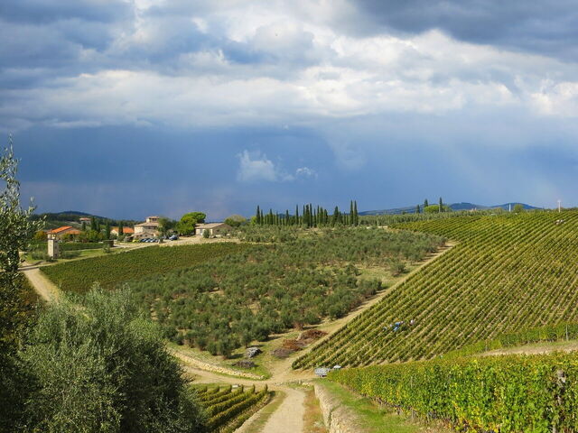 Chianti landschap