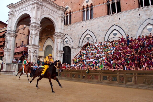 Palio
