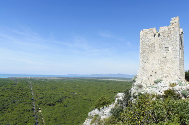 Giglio toren