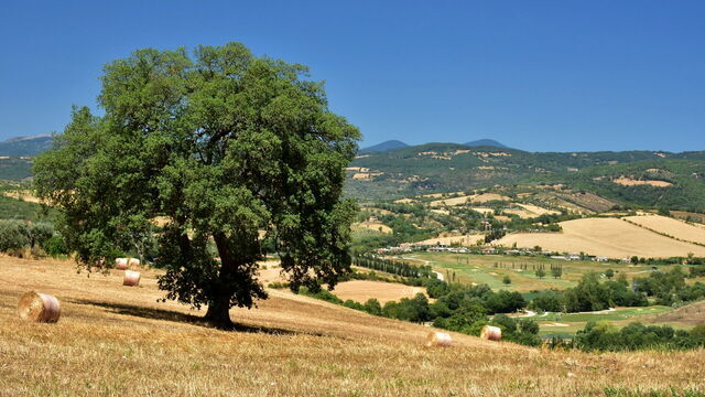 Velden in het Maremma Regionaal Park