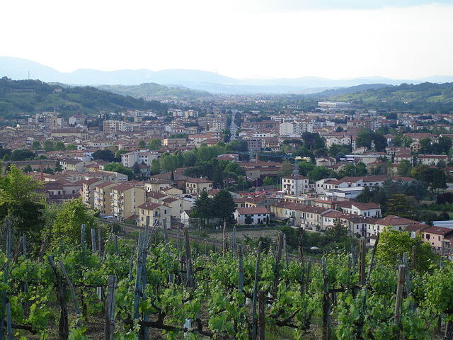 De stad Montevarchi
