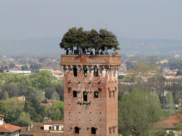 Tuin van Torre Guinigi, Lucca