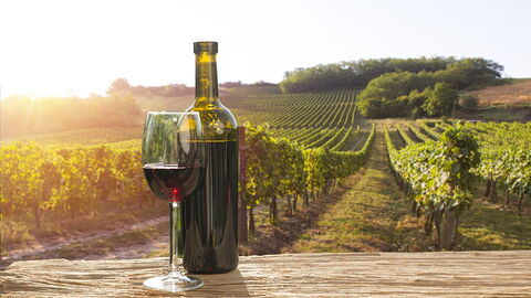 Een wijngaard in Chianti