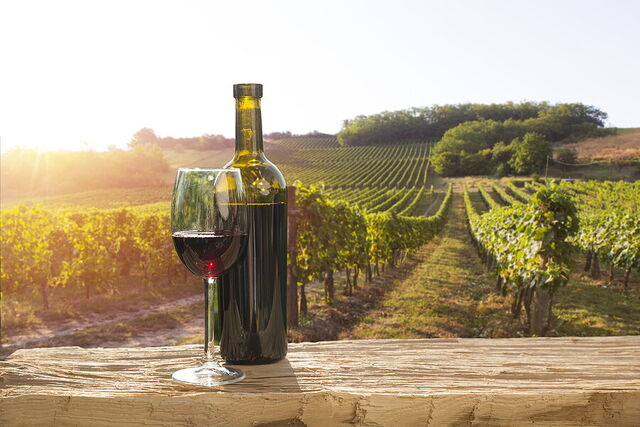 Een wijngaard in Chianti