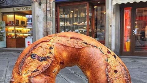 Buccellato