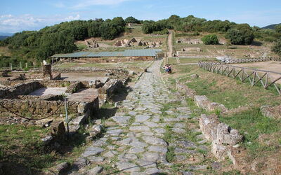 zicht op de archeologische plek van Roselle