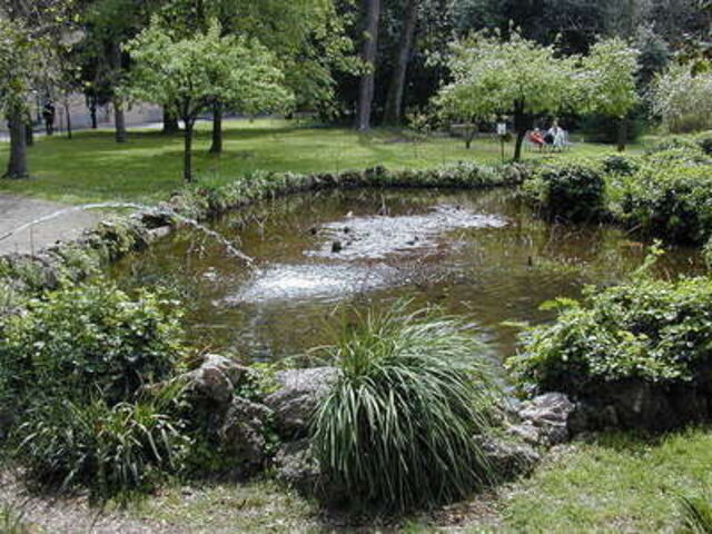 Vijver bij de botanische tuinen, Pisa