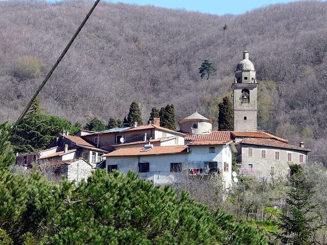 close up van Tresana