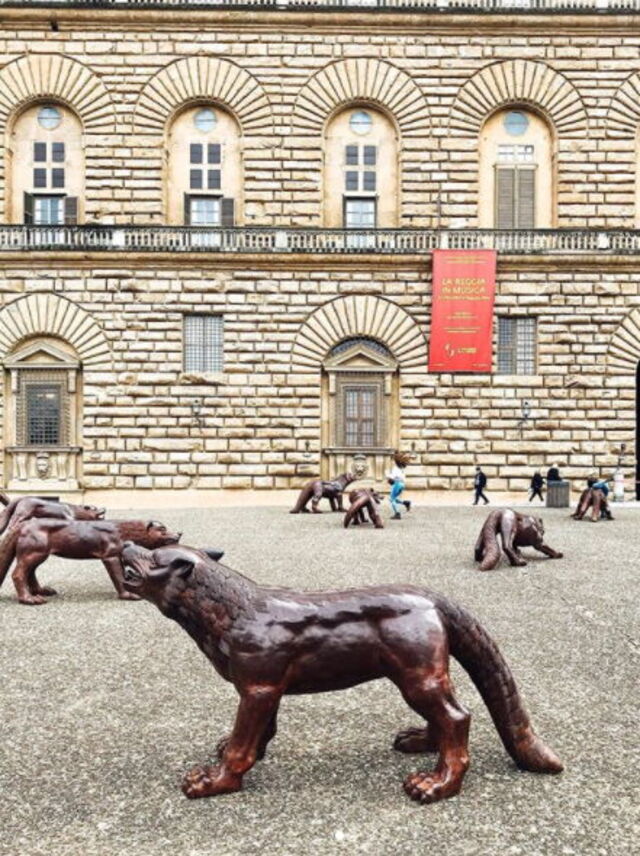 100 wolven bij het Palazzo Pitti