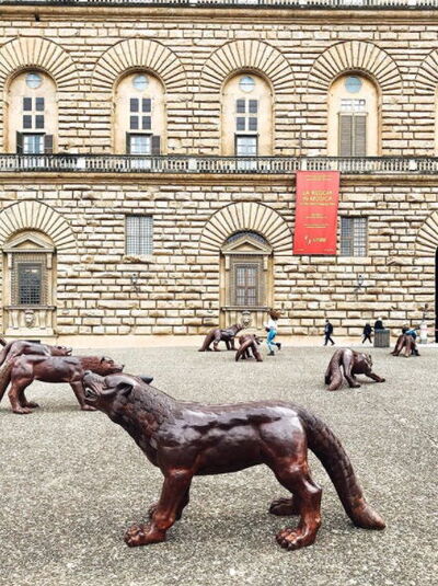 100 wolven bij het Palazzo Pitti