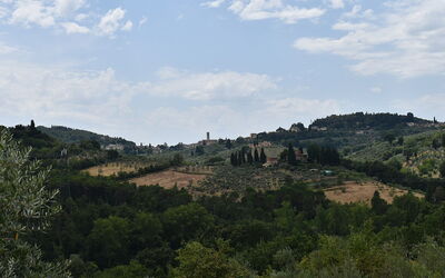 Impruneta, landschap