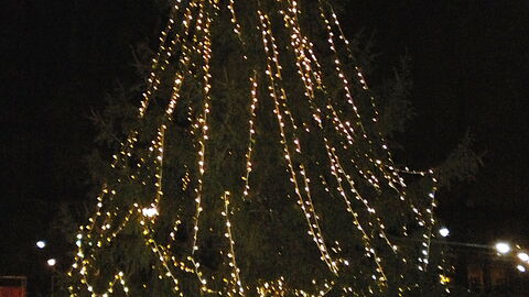 versierde kerstboom toscane