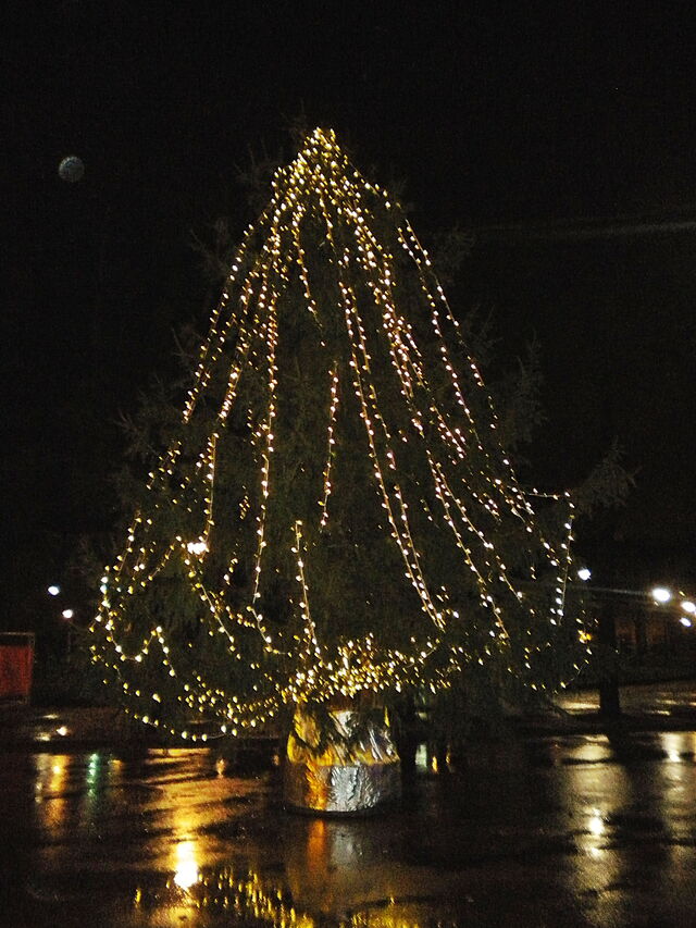 versierde kerstboom toscane