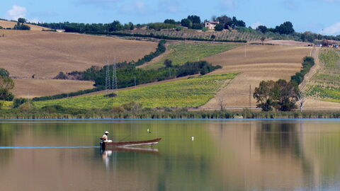 Chiusi lake