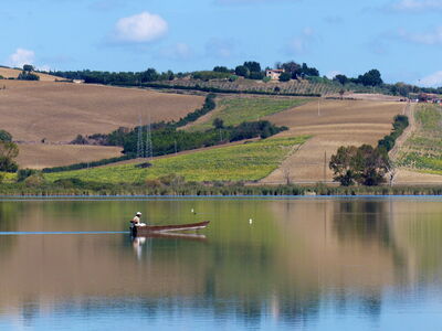 Chiusi lake