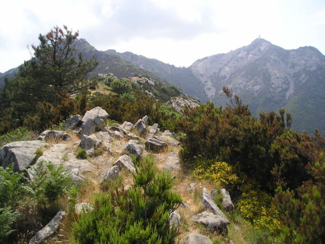 zicht op de berg capanne
