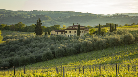 Podere San Michele