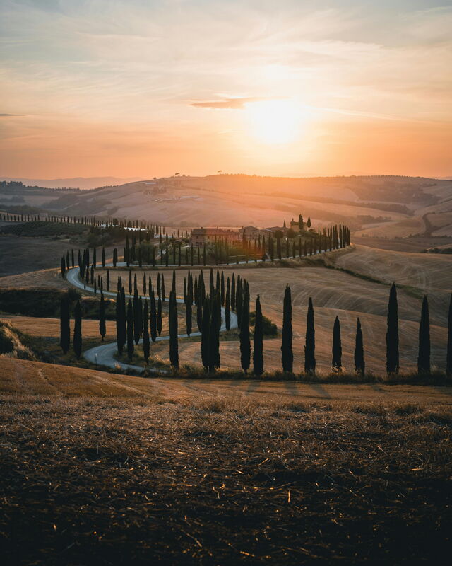 Cipressen in de Val d’Orcia