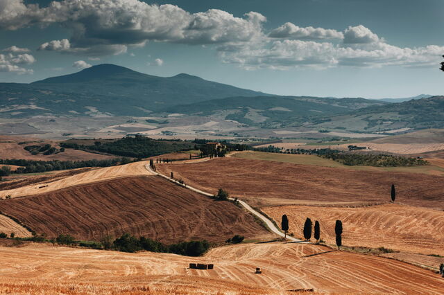 Val d'Orcia, velden