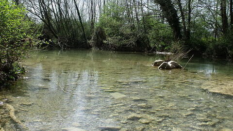 Merse Rivier
