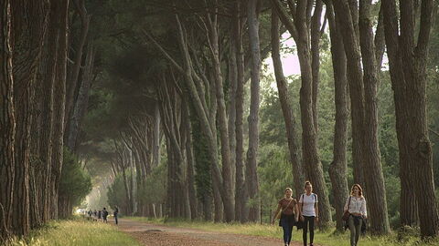 Natuurpark van Migliarino San Rossore Massaciuccoli
