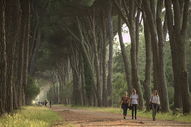 Natuurpark van Migliarino San Rossore Massaciuccoli