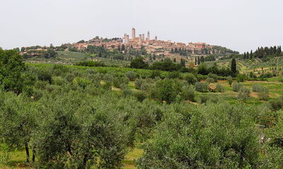 Uitzicht op San Gimignano