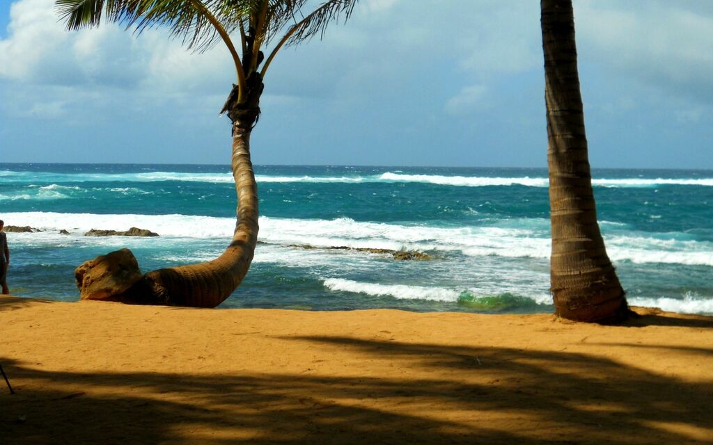Beach @ Mama's Fish House, Maui, Hawaii