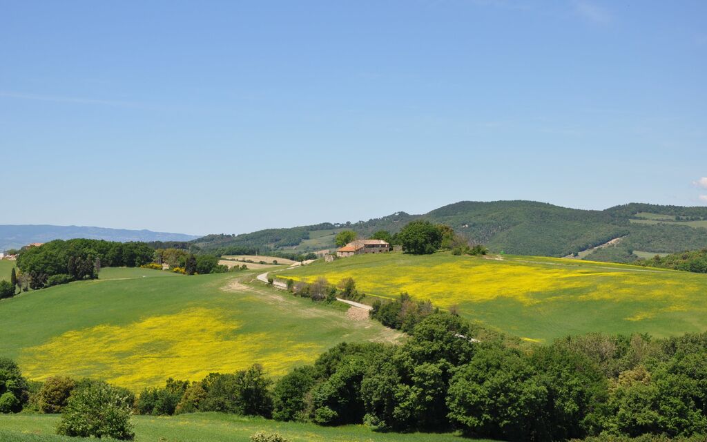 Tuscany Colors