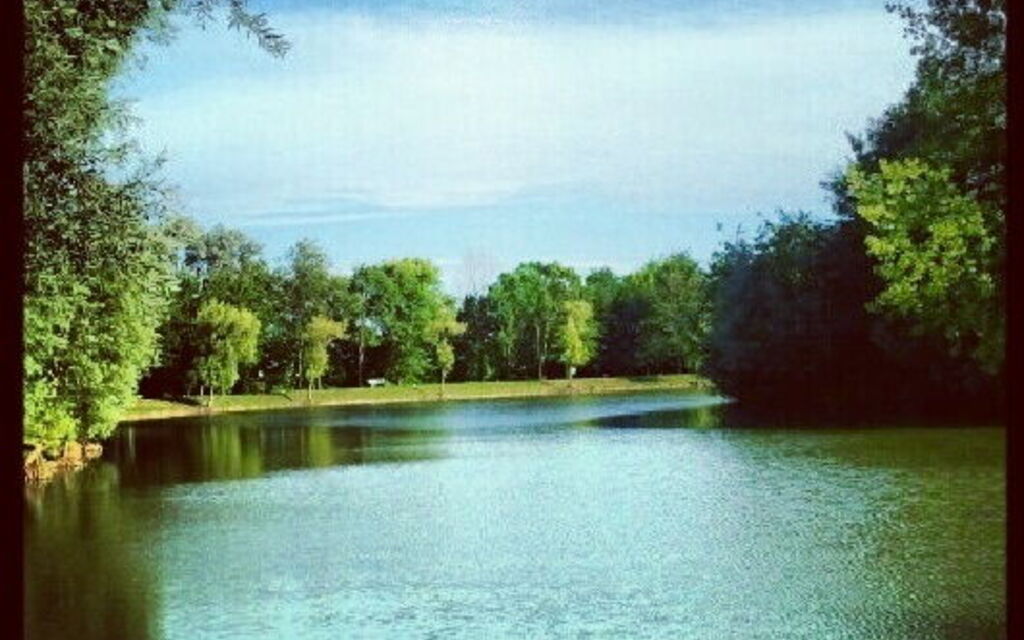 Picnic at the lake