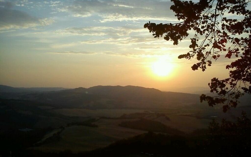 Beautiful tuscany view near radicondoli